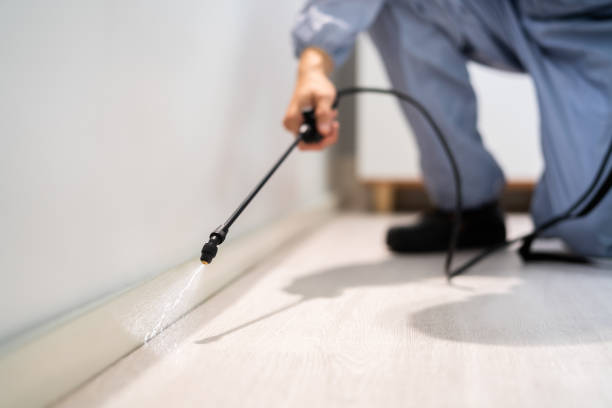 Certified termite inspector examining foundation in Kenvil