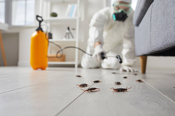 Commercial Kitchen Cockroach Control in Kenvil
